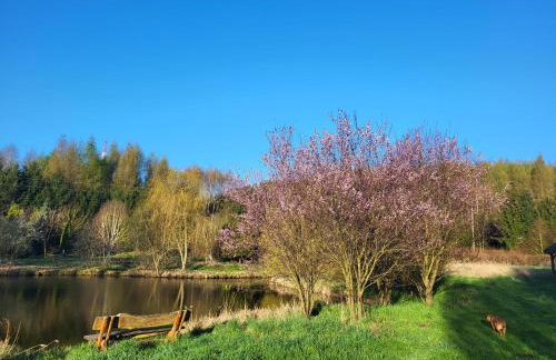 Dom Malarki - Foto 45