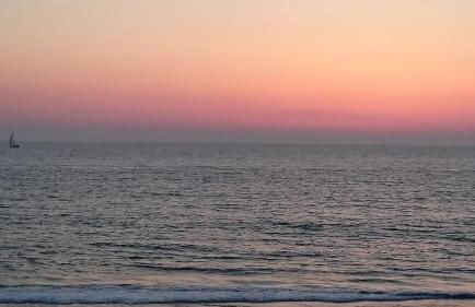 Charmante maison vendéenne proche de la plage - Photo 32