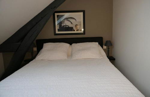 La maison Virginie appartements de 1 à 5 pers cosy central parking gratuit linge fibre proximité port lac canal piscine - Photo 38