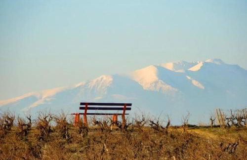 La maison des vendangeurs - Foto 47