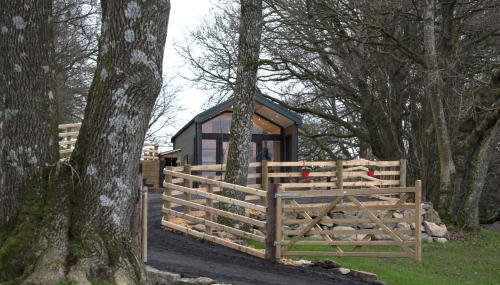 Woodland Escape - Foto 3