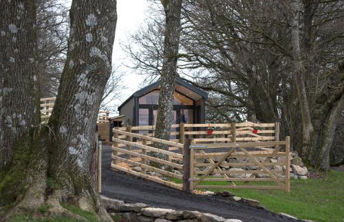 Woodland Escape - Foto 3