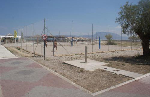 Lemon Tree House - Photo 55