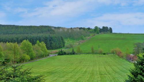 Stunning Country House - Cinema, Games Room & Hot Tub - Foto 4, Garden