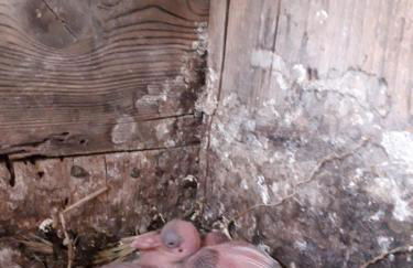 Agriturismo Torre Cristina - Foto 38