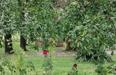 Corte Vitelleria - Foto 6