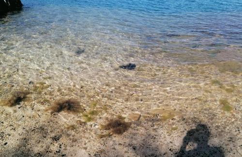 Robinson's house - Foto 26