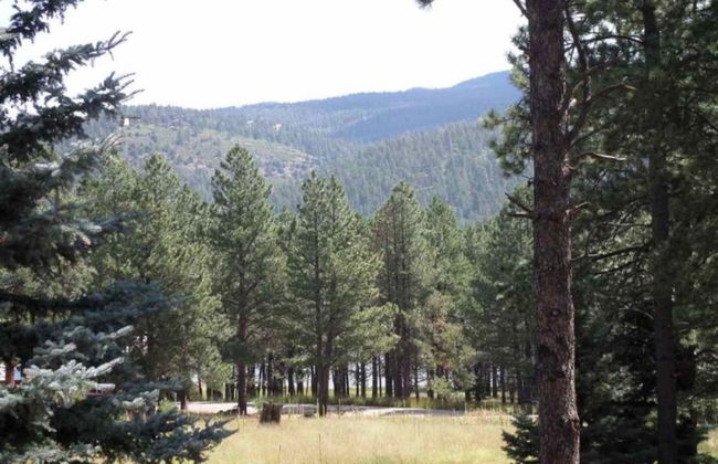 Outdoor Fire Pit, Wildlife Watching, Monte Verde Lake Ponderosa - Foto 6