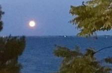 Maria Apartments - Photo 27