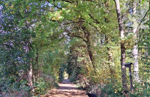 Steewer Landhaus gemütliche Ferienwohnung bis 6 Pers in ruhiger Ortsrandlage - Foto 47