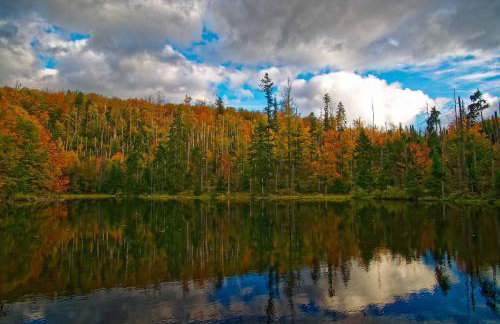 Ferienwohnung im Landhaus am Nationalpark - Foto 30