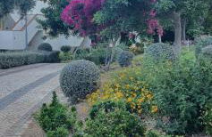 Nice 2 bedroom apartment groundfloor swimming pool - Foto 25