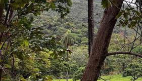 Fazendinha ao pé da Serra para finais de semana - Foto 4, Garden