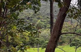 Fazendinha ao pé da Serra para finais de semana - Photo 4