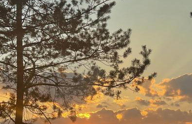 Domek Dziesiątka Borsk nad samym jeziorem - pierwsza linia - Foto 51