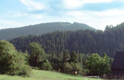 Noclegi i Agroturystyka Dorota Rusnak - Foto 4