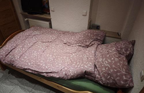 Gemütliche Einliegerwohnung im Herzen der Pfalz - Foto 3