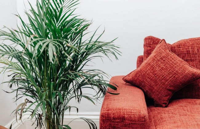 Henley Gardens - From 200 Per Night - Foto 21