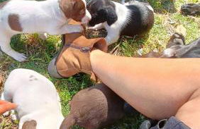 Casa da Avó do Puto - Foto 45