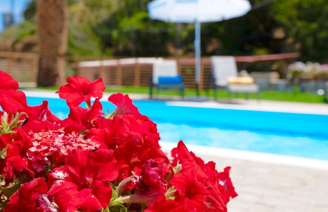 Villa Lygaria - Foto 48