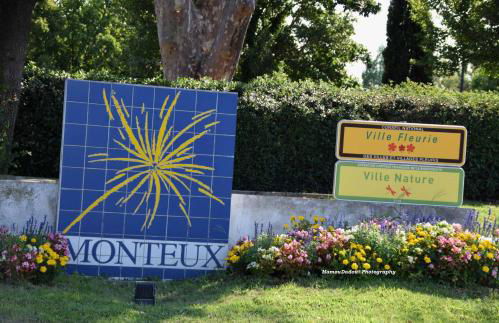 Chez Mamou & Dadou - Photo 16