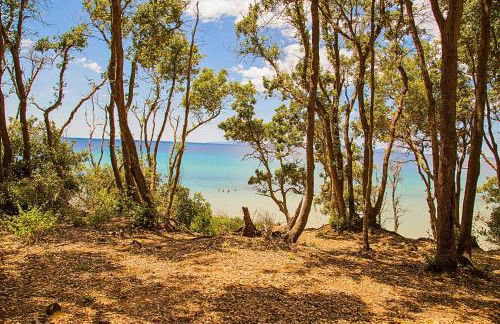 Residence Renaione - Foto 7