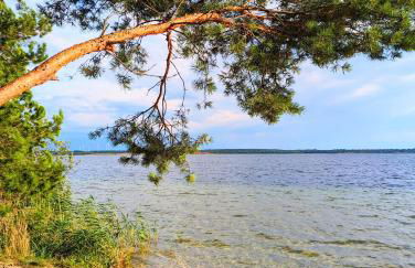 Lake & Bike Holidays Wüstenhain, Ferienhaus am Gräbendorfer See - Foto 31