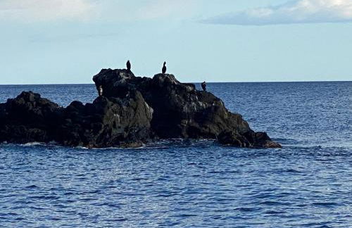 Sea View 2 Bedroom Vacation Apartment - Foto 32