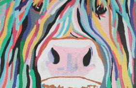 The Cow Hide @ Mill Burn Hollow. - Foto 6