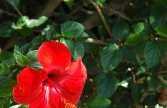 Dammusi di Venere - U Locu - Foto 37