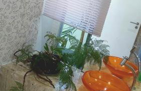 Belíssima Casa Condominio e Mar - Foto 16