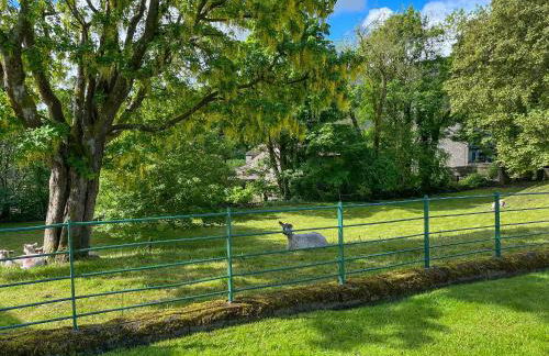 The Old School - Foto 26