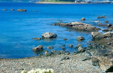 The Tidal Shore - Adults Only - - Foto 43