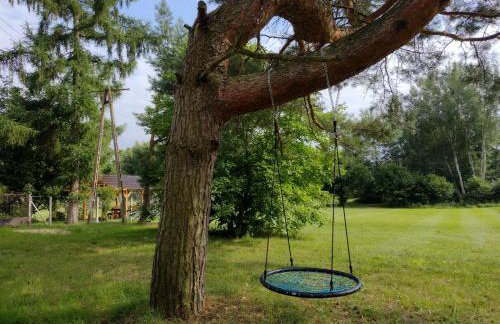 Agroturystyka PLENER - Foto 32