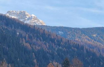 Ursus Chalet - Foto 28