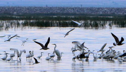 Nikolaou Apartments Keramidi - Foto 3