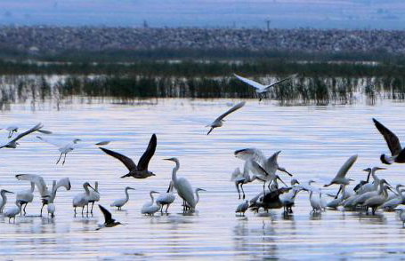 Nikolaou Apartments Keramidi - Photo 3