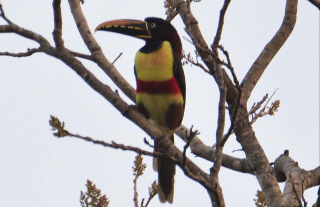 Arroyos y Esteros Private Day Trip - Foto 7