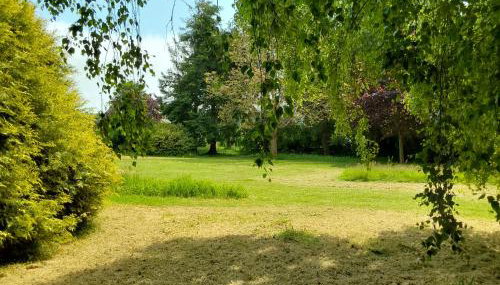 Couleur Jardin - Foto 4, Garden view