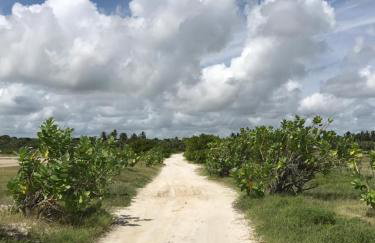 Refugios Parajuru - Villa Alegre - Photo 66