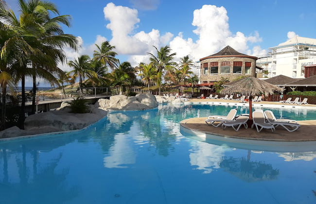 Kaz ananas passion - Photo 44