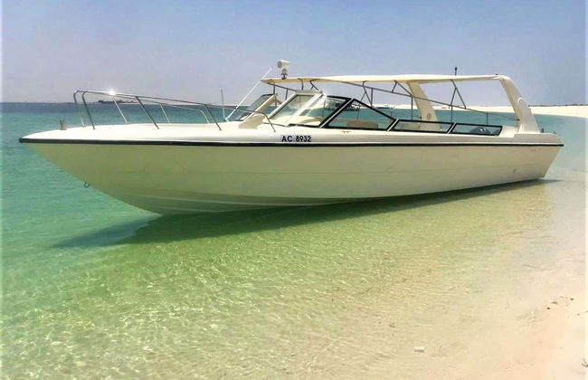 Al Bahrani & Dolphin Islands Day Trip - Foto 6