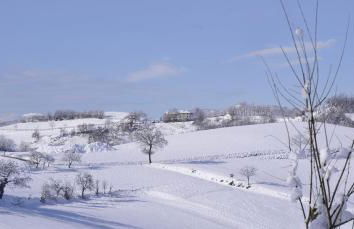 Agriturismo Campo del Pillo - Foto 8