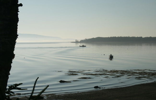 Mabel's Point - Brooklin - Photo 16
