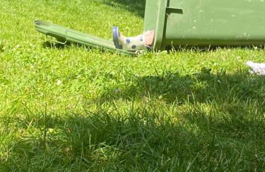 Ferienwohnung auf einem Resthof zentral gelegen mit viel Natur und Tieren - Foto 27