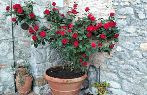 Historic Farmhouse Casa Del Chiodo - Foto 36