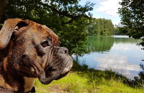 Holiday Home Finnhaus by Interhome - Foto 30