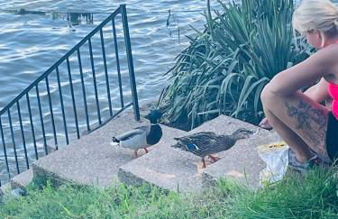 Wet Feet Retreat Lake House with Boat Rental - Foto 13