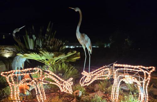 Caesars Lodge - Photo 12