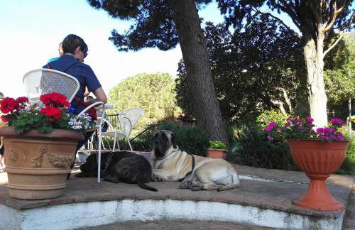 Dolce Vita - Foto 54